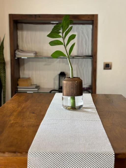 La Casa Vieja Βίλα Σάντα Κρουζ Τενερίφης Εξωτερικό φωτογραφία