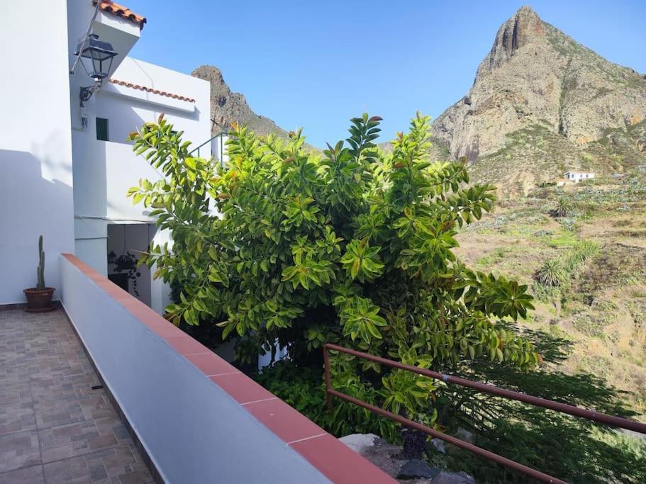 La Casa Vieja Βίλα Σάντα Κρουζ Τενερίφης Εξωτερικό φωτογραφία